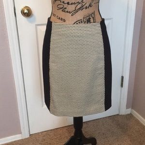 Ann Taylor LOFT skirt ~ Size 2